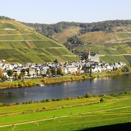 Weinstube Pension Moselbluemchen Zeltingen-Rachtig Buitenkant foto