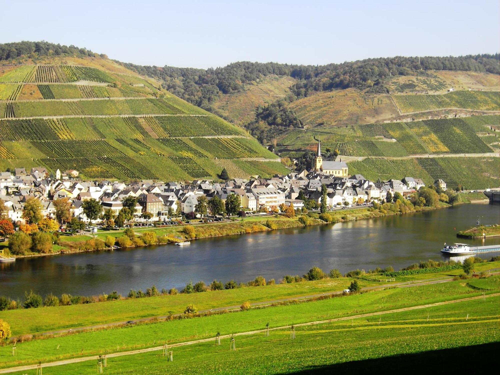 Weinstube Pension Moselbluemchen Zeltingen-Rachtig Buitenkant foto