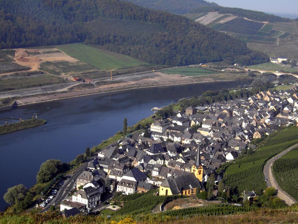 Weinstube Pension Moselbluemchen Zeltingen-Rachtig Buitenkant foto