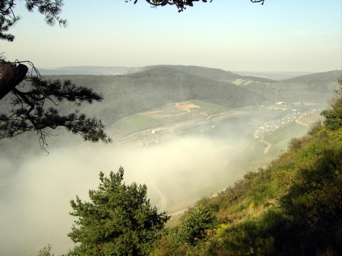 Weinstube Pension Moselbluemchen Zeltingen-Rachtig Buitenkant foto