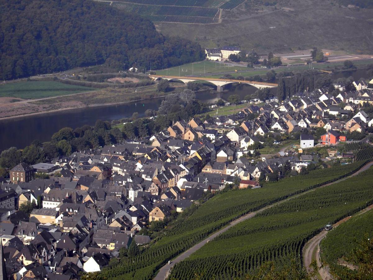 Weinstube Pension Moselbluemchen Zeltingen-Rachtig Buitenkant foto